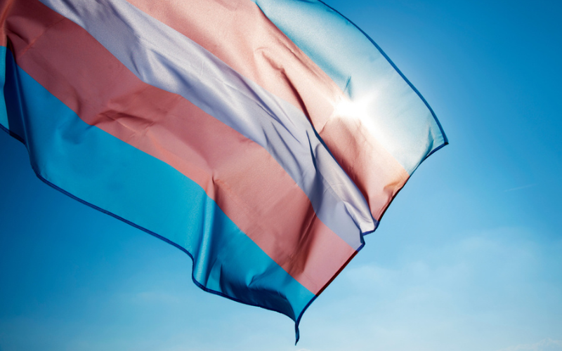 Dia Nacional das Pessoas Travestis e Trans  – A inclusão começa por você