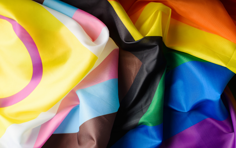 Nesse mês de junho, celebramos o Mês do Orgulho LGBTQIA+. E aproveitarmos o momento para contar como tudo começou, a revolta de Stonewall!