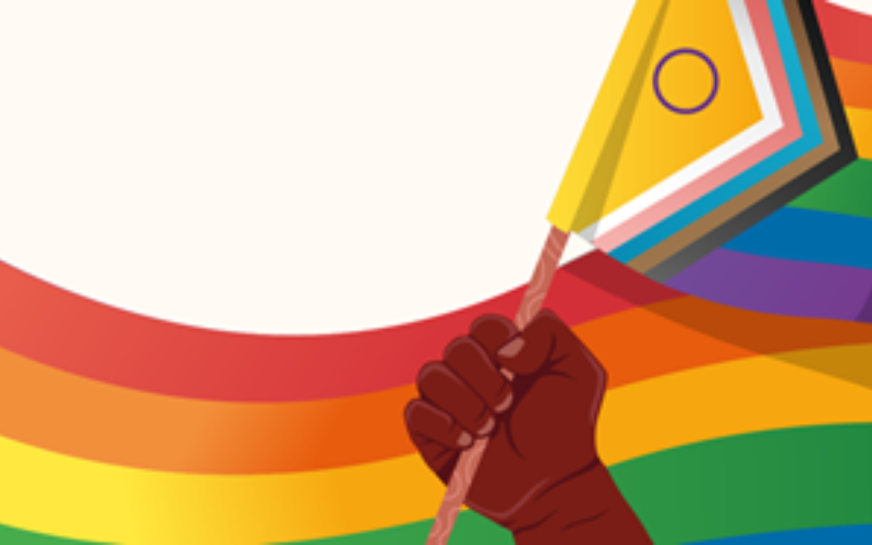 Nos últimos anos, o Brasil tem testemunhado um crescimento significativo no reconhecimento e na proteção dos direitos das pessoas LGBTQIA+.